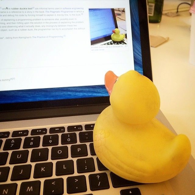 Rubber duck debugging concept