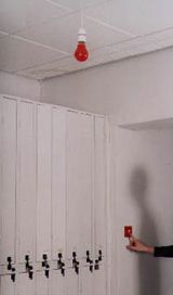 Inter Bulb And Switch